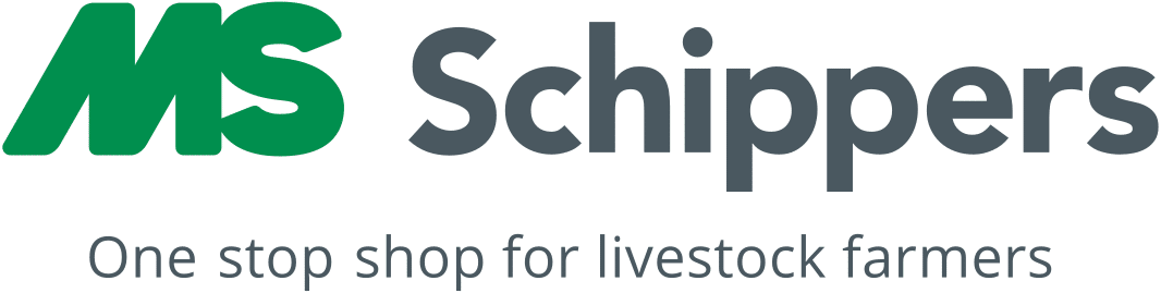 MS Schippers