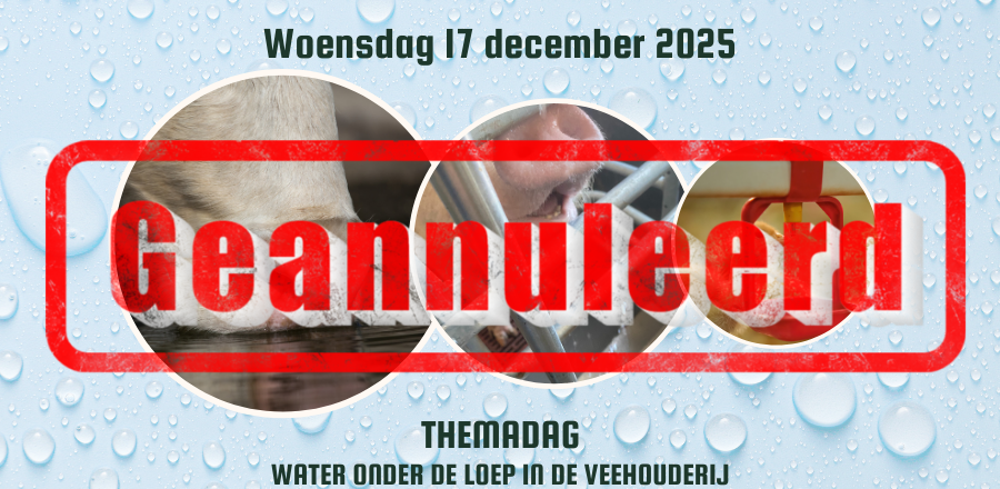 Themadag: Water onder de loep in de veehouderij