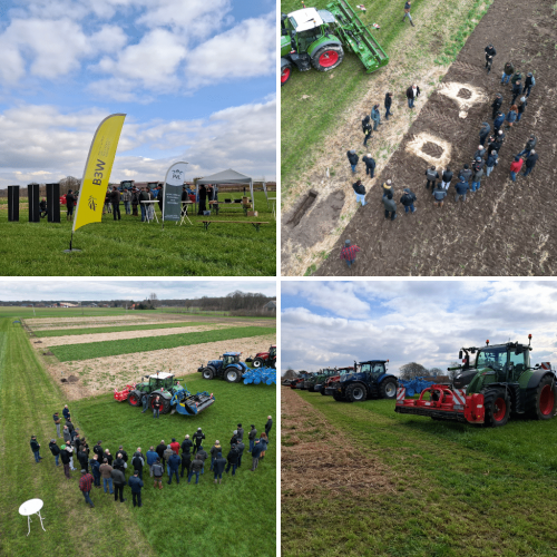 Green roofers Groenbedekkers